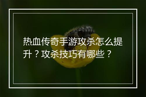 热血传奇手游攻杀怎么提升？攻杀技巧有哪些？