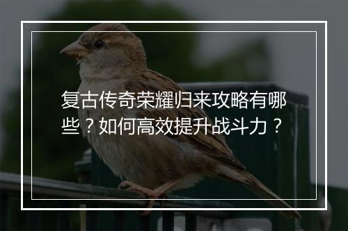 复古传奇荣耀归来攻略有哪些？如何高效提升战斗力？