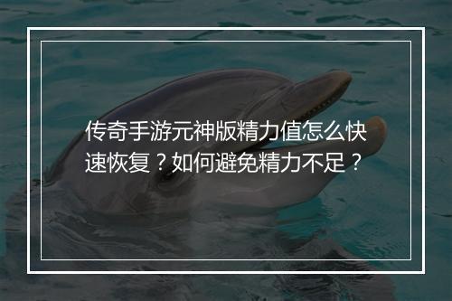 传奇手游元神版精力值怎么快速恢复？如何避免精力不足？