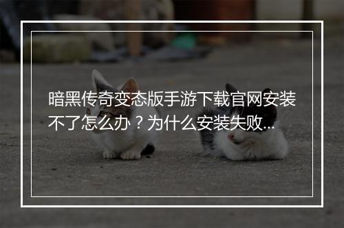 暗黑传奇变态版手游下载官网安装不了怎么办？为什么安装失败？