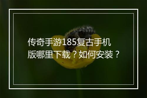 传奇手游185复古手机版哪里下载？如何安装？