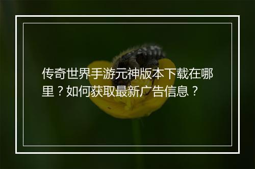 传奇世界手游元神版本下载在哪里？如何获取最新广告信息？