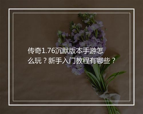 传奇1.76沉默版本手游怎么玩？新手入门教程有哪些？