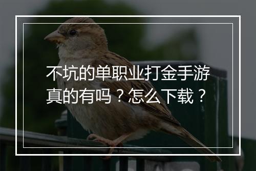 不坑的单职业打金手游真的有吗？怎么下载？