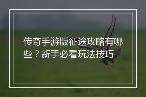 传奇手游版征途攻略有哪些？新手必看玩法技巧