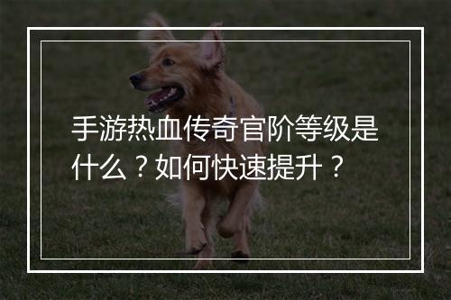手游热血传奇官阶等级是什么？如何快速提升？