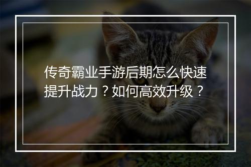 传奇霸业手游后期怎么快速提升战力？如何高效升级？