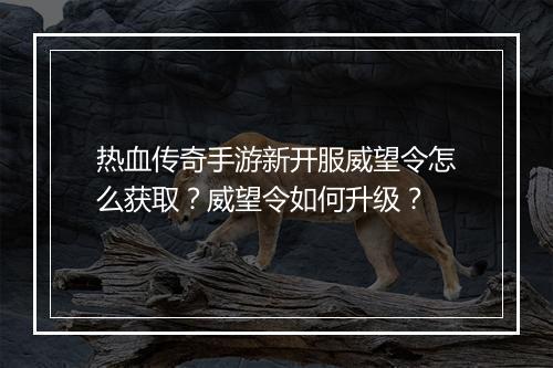 热血传奇手游新开服威望令怎么获取？威望令如何升级？