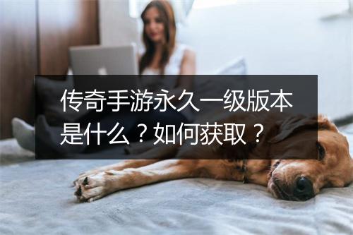 传奇手游永久一级版本是什么？如何获取？