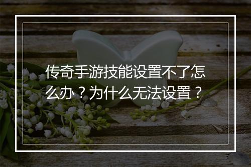 传奇手游技能设置不了怎么办？为什么无法设置？