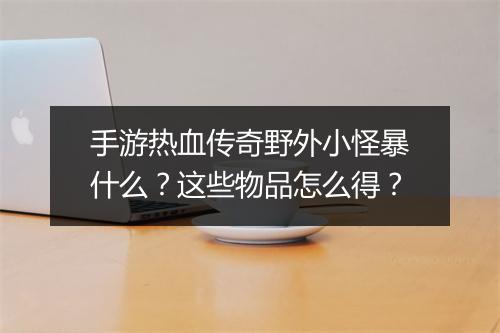 手游热血传奇野外小怪暴什么？这些物品怎么得？