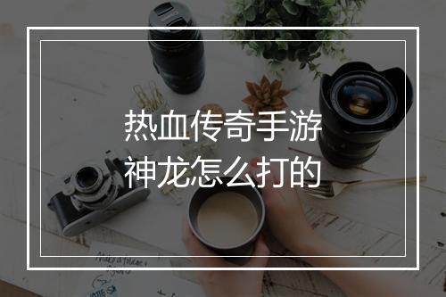 热血传奇手游神龙怎么打的