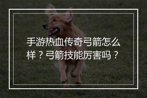 手游热血传奇弓箭怎么样？弓箭技能厉害吗？
