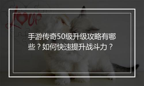 手游传奇50级升级攻略有哪些？如何快速提升战斗力？