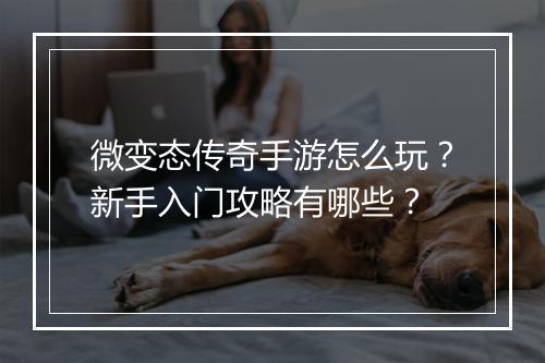 微变态传奇手游怎么玩？新手入门攻略有哪些？