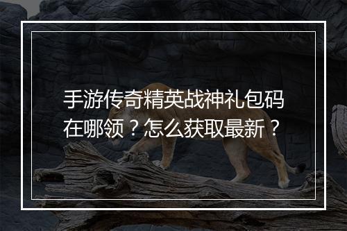 手游传奇精英战神礼包码在哪领？怎么获取最新？