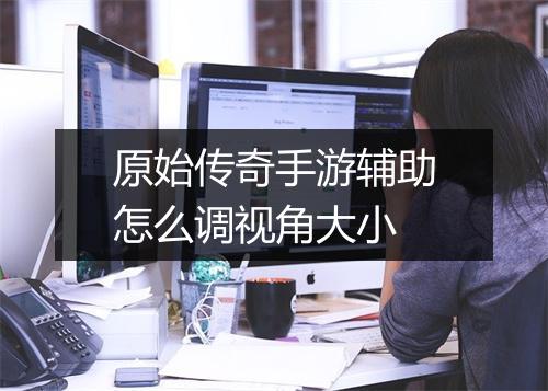 原始传奇手游辅助怎么调视角大小