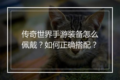 传奇世界手游装备怎么佩戴？如何正确搭配？