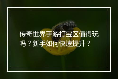 传奇世界手游打宝区值得玩吗？新手如何快速提升？