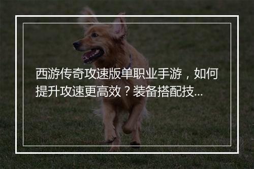 西游传奇攻速版单职业手游，如何提升攻速更高效？装备搭配技巧揭秘？