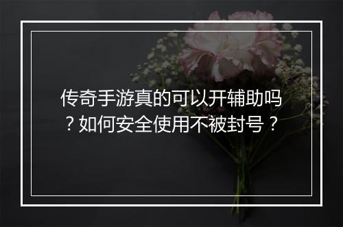 传奇手游真的可以开辅助吗？如何安全使用不被封号？