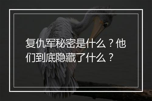 复仇军秘密是什么？他们到底隐藏了什么？