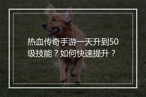 热血传奇手游一天升到50级技能？如何快速提升？