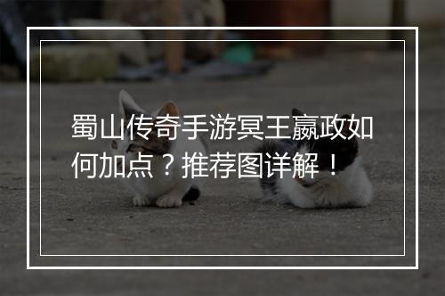 蜀山传奇手游冥王嬴政如何加点？推荐图详解！
