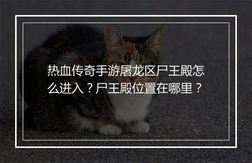 热血传奇手游屠龙区尸王殿怎么进入？尸王殿位置在哪里？