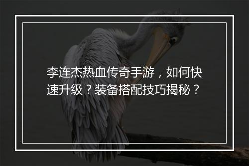 李连杰热血传奇手游，如何快速升级？装备搭配技巧揭秘？