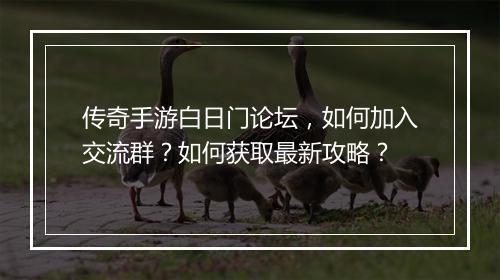 传奇手游白日门论坛，如何加入交流群？如何获取最新攻略？