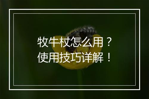 牧牛杖怎么用？使用技巧详解！