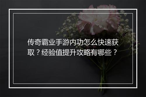 传奇霸业手游内功怎么快速获取？经验值提升攻略有哪些？