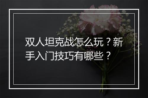 双人坦克战怎么玩？新手入门技巧有哪些？