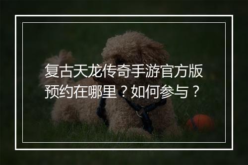 复古天龙传奇手游官方版预约在哪里？如何参与？