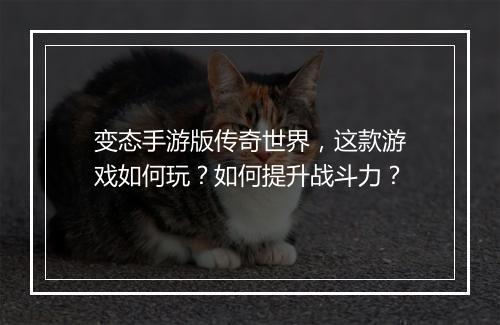 变态手游版传奇世界，这款游戏如何玩？如何提升战斗力？