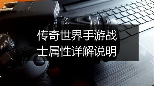 传奇世界手游战士属性详解说明