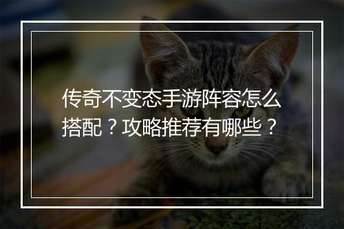 传奇不变态手游阵容怎么搭配？攻略推荐有哪些？
