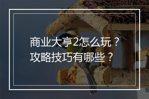商业大亨2怎么玩？攻略技巧有哪些？