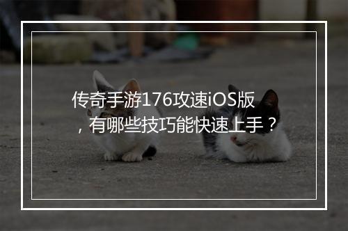 传奇手游176攻速iOS版，有哪些技巧能快速上手？