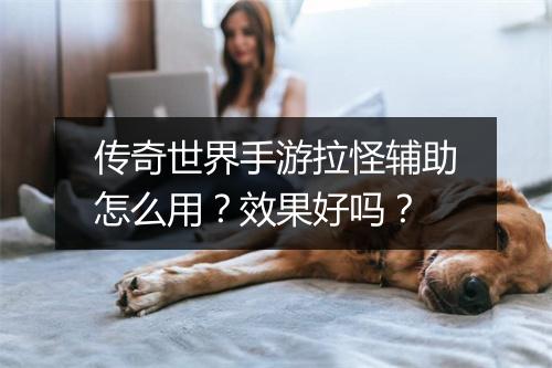 传奇世界手游拉怪辅助怎么用？效果好吗？
