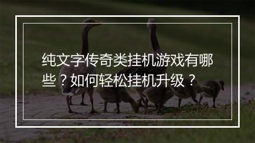 纯文字传奇类挂机游戏有哪些？如何轻松挂机升级？