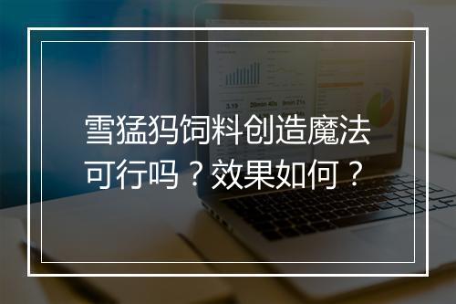 雪猛犸饲料创造魔法可行吗？效果如何？