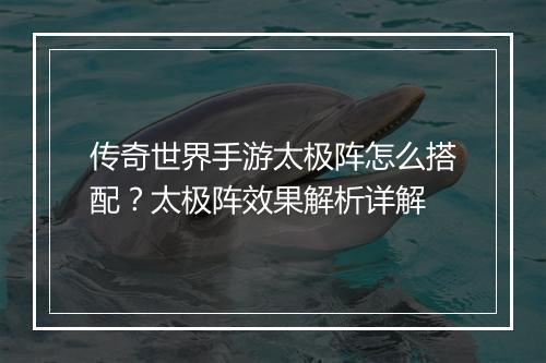 传奇世界手游太极阵怎么搭配？太极阵效果解析详解