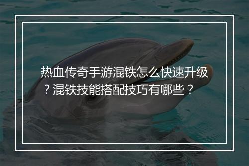 热血传奇手游混铁怎么快速升级？混铁技能搭配技巧有哪些？