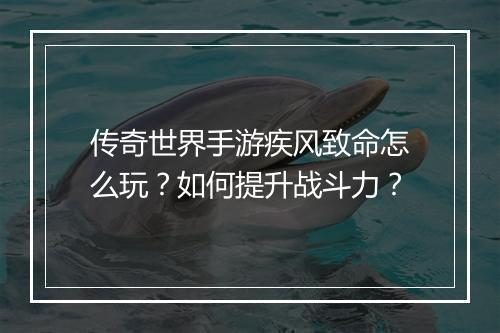 传奇世界手游疾风致命怎么玩？如何提升战斗力？