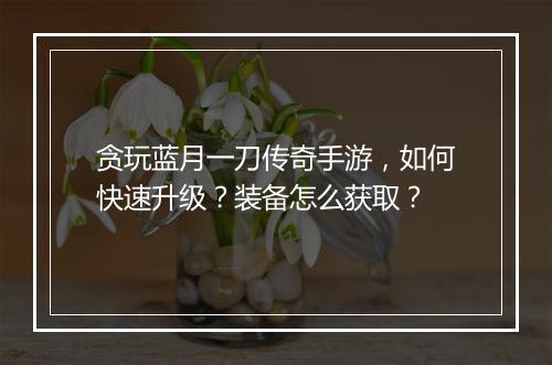 贪玩蓝月一刀传奇手游，如何快速升级？装备怎么获取？
