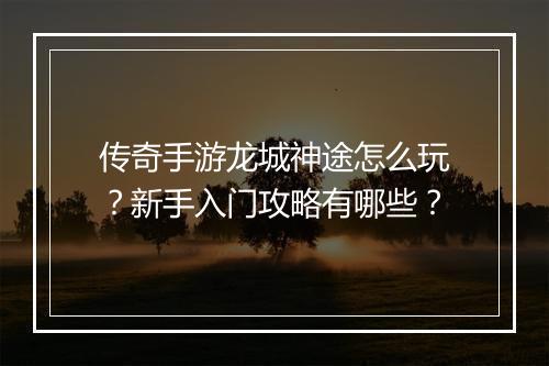 传奇手游龙城神途怎么玩？新手入门攻略有哪些？