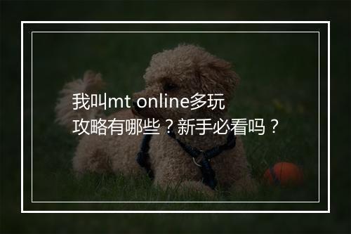 我叫mt online多玩攻略有哪些？新手必看吗？