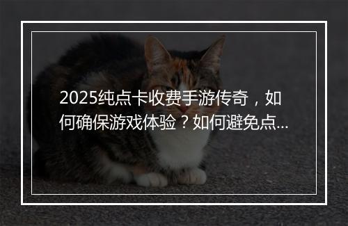 2025纯点卡收费手游传奇，如何确保游戏体验？如何避免点卡浪费？